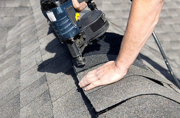 Best Roof Moss and Algae Removal  in Trappe, PA